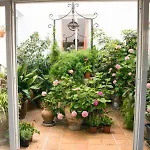 Apartment Alexia Atolon 1st Floor Stairs 2br Pool View 9 Min To Sea 5min To Town At1833 Port de Pollenca